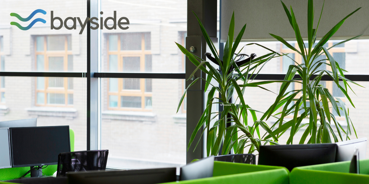 How To Achieve A Green Office Environment